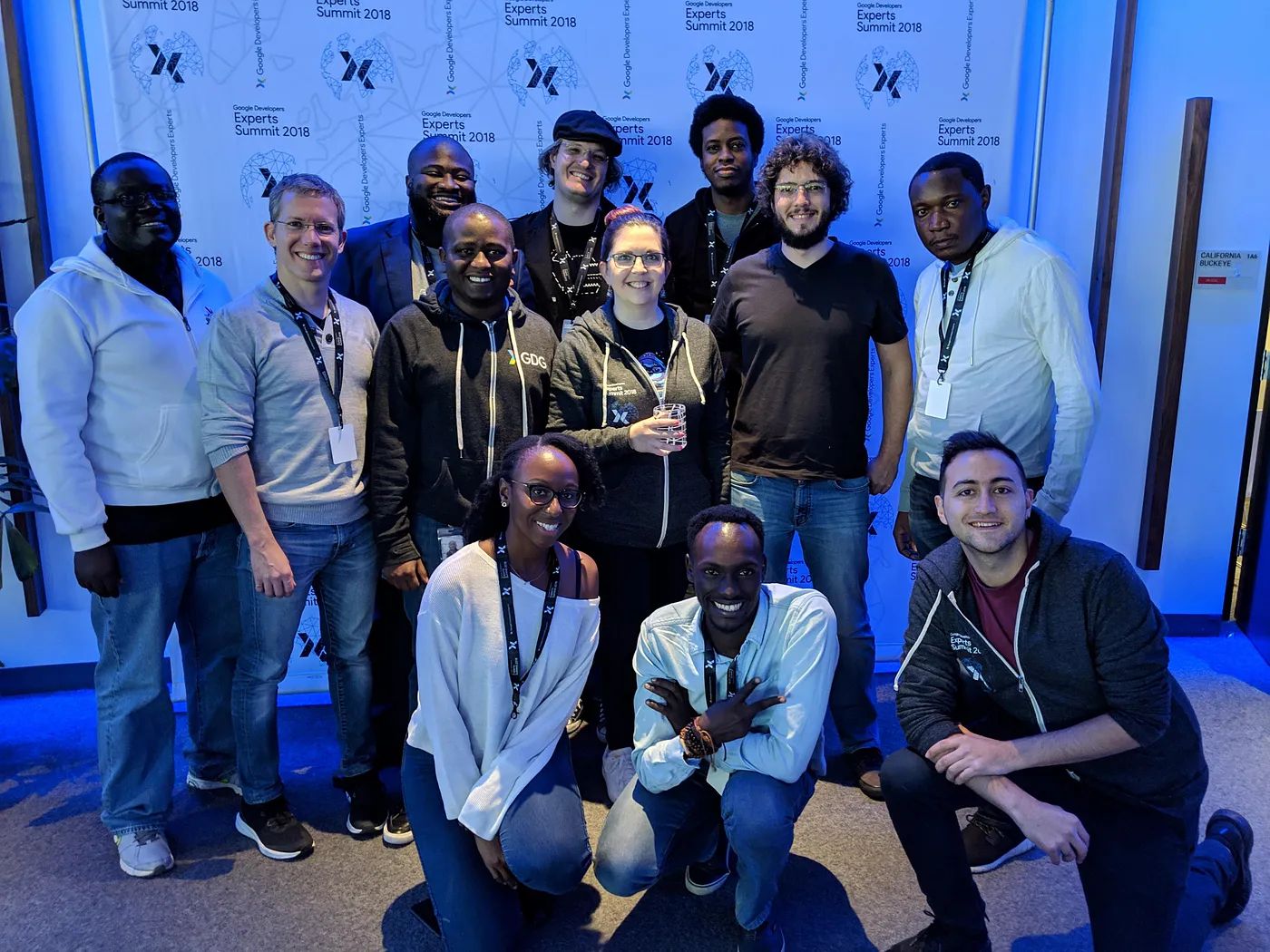 The Sub-Saharan Africa GDEs